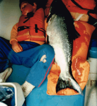 Bodega bay Fishing Charters For Salmon