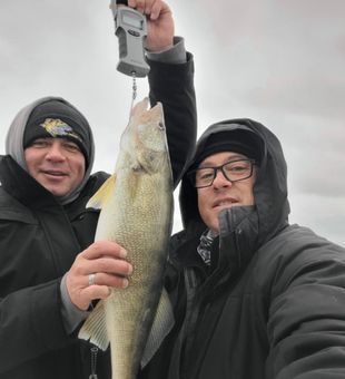 Guided Walleye Fishing In Port Clinton 