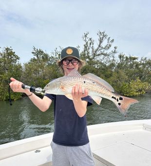 Red fish Reeled! 