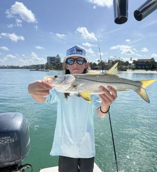 Vibrant snook!