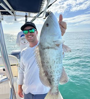 Gag Grouper Trophy Catch!