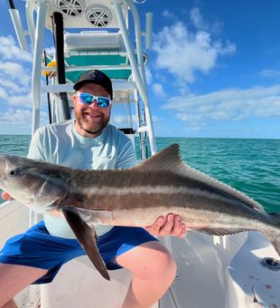 Best Cobia Fishing In The Florida Keys
