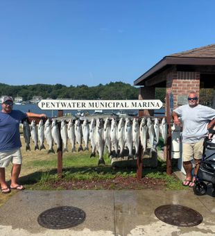 Massive Lake Michigan salmon charter group limit