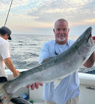 Giant King salmon Lake Michigan charter catch