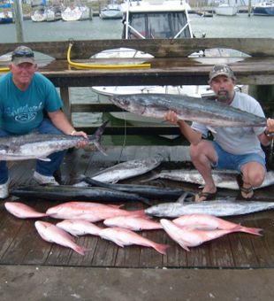 Red Snappers, Wahoo, Ling and Many More in Texas