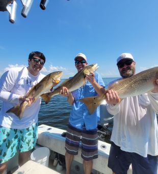 Tampa Bay Redfish Fishing