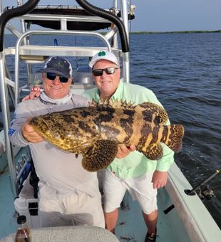 Fishing for Grouper in Bradenton, FL