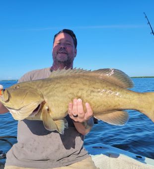 Big Grouper Fish From Florida