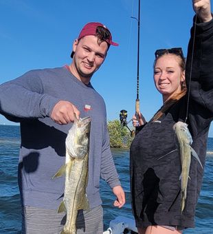 Anna Maria Island Snook Fishing