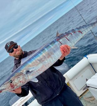 Wahoo caught offshore in Key Largo!