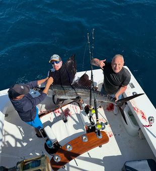 Deep sea action never slows