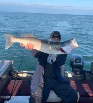 Walleye Wonder: Reeling in the Catch of a Lifetime