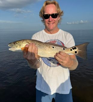 Classic Charlotte Harbor redfish catch