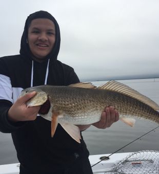 Redfish in Freeport, FL