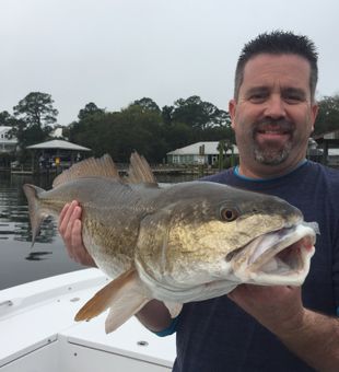 Best Redfish Charter in Freeport, FL