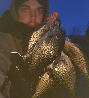 Crappie's are biting in Toronto, CA