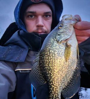 Crappie bounty in Toronto, CA