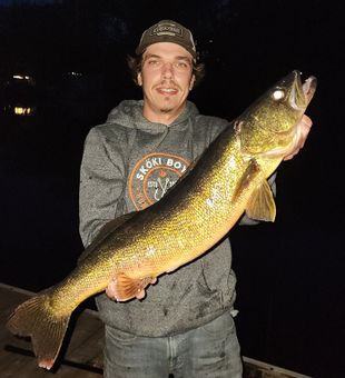 Massive walleye success!