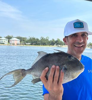 Nearshore Fishing Panama City Beach