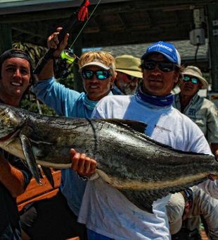 Cobia From New Smyrna Beach