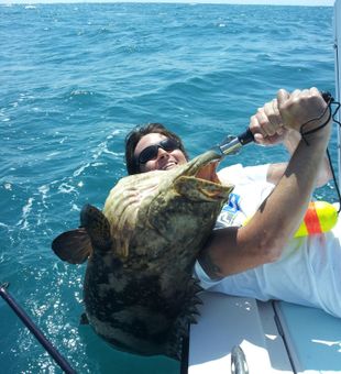 Grouper, Inshore Fishing in New Smyrna Beach