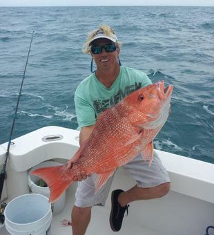 Red Snapper From New Smyrna Beach