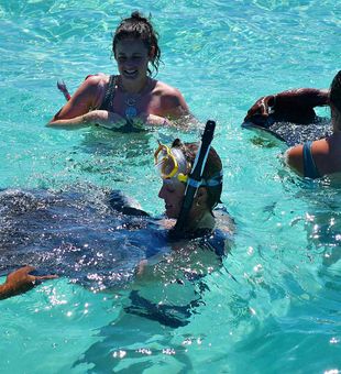 Cayman’s best reef fishing spots