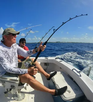 Reel in grunts on Cayman reefs
