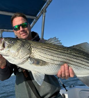 Beautiful Freeport striped bass ready for the cooler!