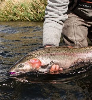 Deschutes river fishing, OR