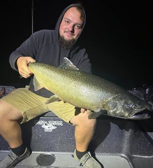 Salmon Chase Triumphs In Lake Michigan 