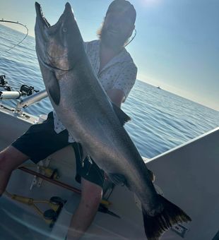 Lake Michigan's Crown Jewels: Salmon Delight!