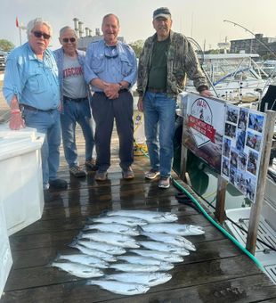 Lake Michigan Abundant Haul Of The Day