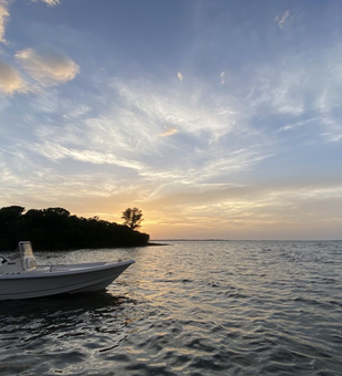 Hooked on the beauty of Tarpon Springs!