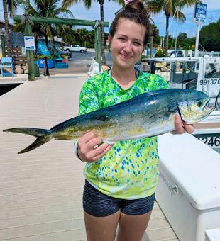Bright Mahi catch at Jupiter Marina!