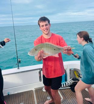 Islamorada's Best, Mutton Snapper