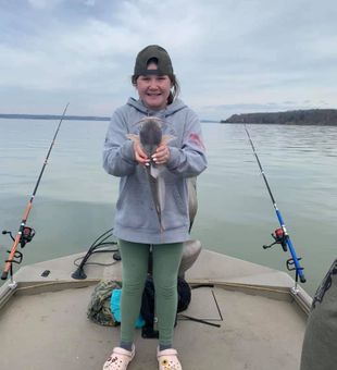 Blue Catfish in Potomac River