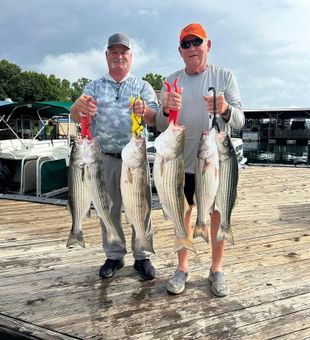 Impressive Striped Bass catch on Beaver Lake!