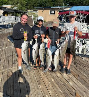 Beaver Lake Striped Bass haul makes for an unforgettable day!