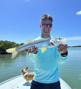 Fishing frenzy in Marco Island.