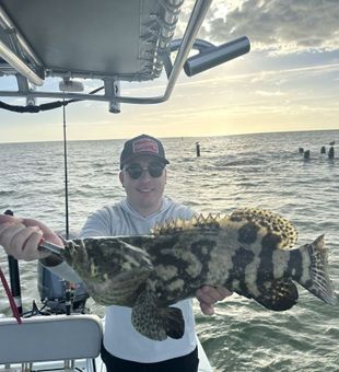 Caught a giant while fishing in Marco Island.