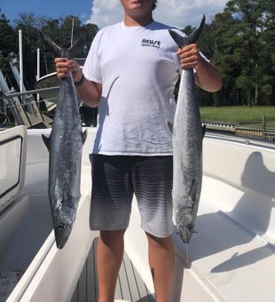 King Mackerel Bliss In Cape Carteret, NC 