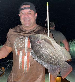 Reeling in the big one with All Florida Bowfishing