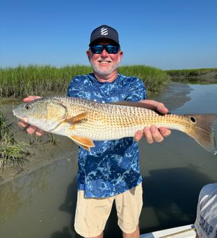 Awesome Reds on the way!