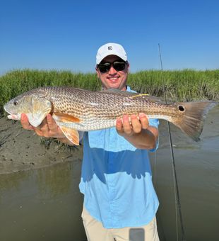 Keep those Reds coming!!