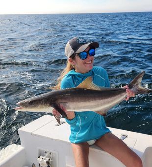 charter fishing in sarasota targeting cobia