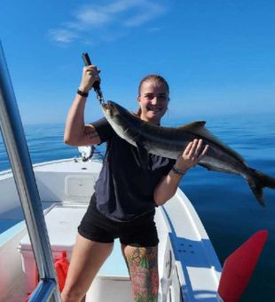 siesta key cobia fishing is on fire.