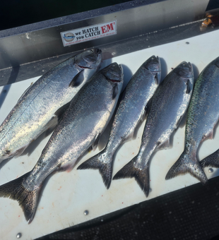 Partly cloudy skies set the stage for epic deep sea jigging adventures!
