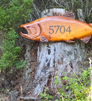 Exciting trail marker #5704 guides anglers to the best deep sea jigging spots near Crab Shack Store.