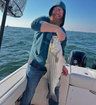 Clean Striper Catch! - Point Pleasant, NJ.